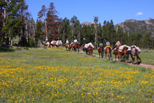 USA-Wyoming-Wind River Wilderness Horse Ranch